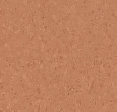 Линолеум Forbo Sphera Element 50060 terra фото 1 | FLOORDEALER